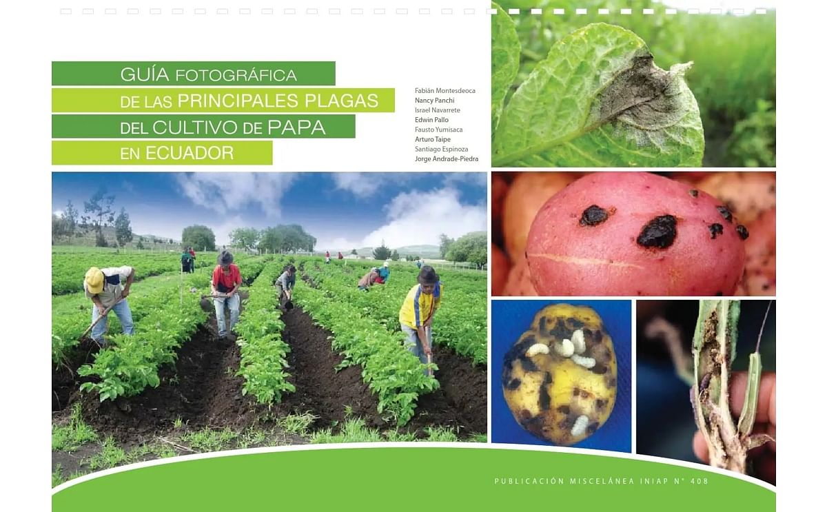 Caratula de Guía fotografica de las principales plagas del cultivo de papa en Ecuador Caratula de Guía fotografica de las principales plagas del cultivo de papa en Ecuador