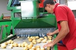 Paperos e instituciones agrícolas de Costa Rica forman consorcio de innovación