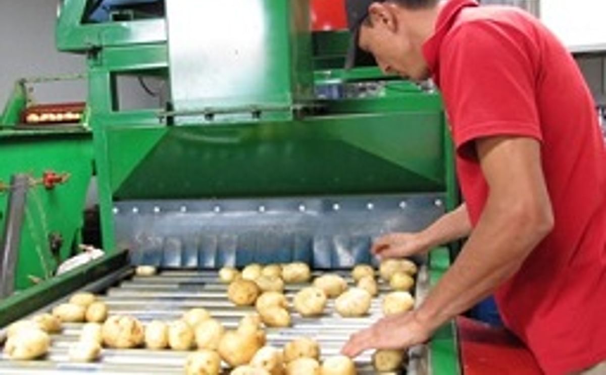 Paperos e instituciones agrícolas de Costa Rica forman consorcio de innovación