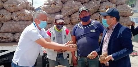 Gobernación de Norte de Santander, Colombia, compró cosechas de papa a los agricultores locales