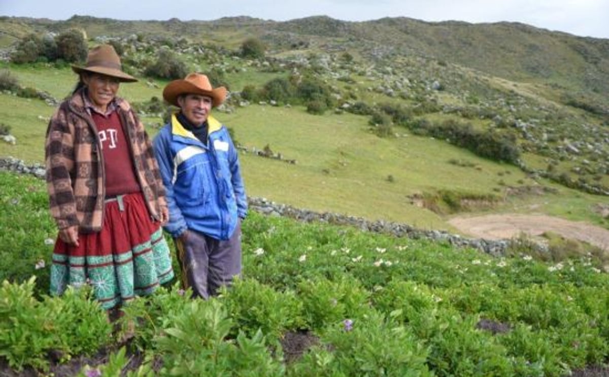 El tercer boletín de la Iniciativa Chirapaq Ñan ya está disponible El tercer boletín de la Iniciativa Chirapaq Ñan ya está disponible