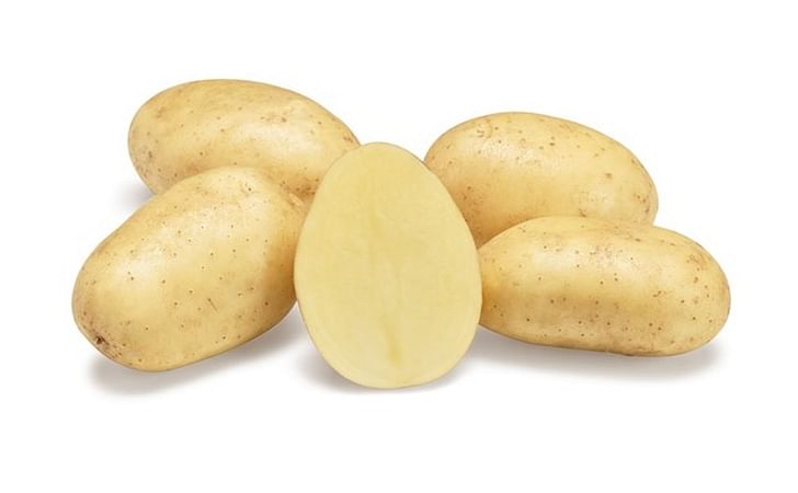 paradiso-b-agrico-nl-hr-2020-1200.jpg paradiso-b-agrico-nl-hr-2020-1200.jpg