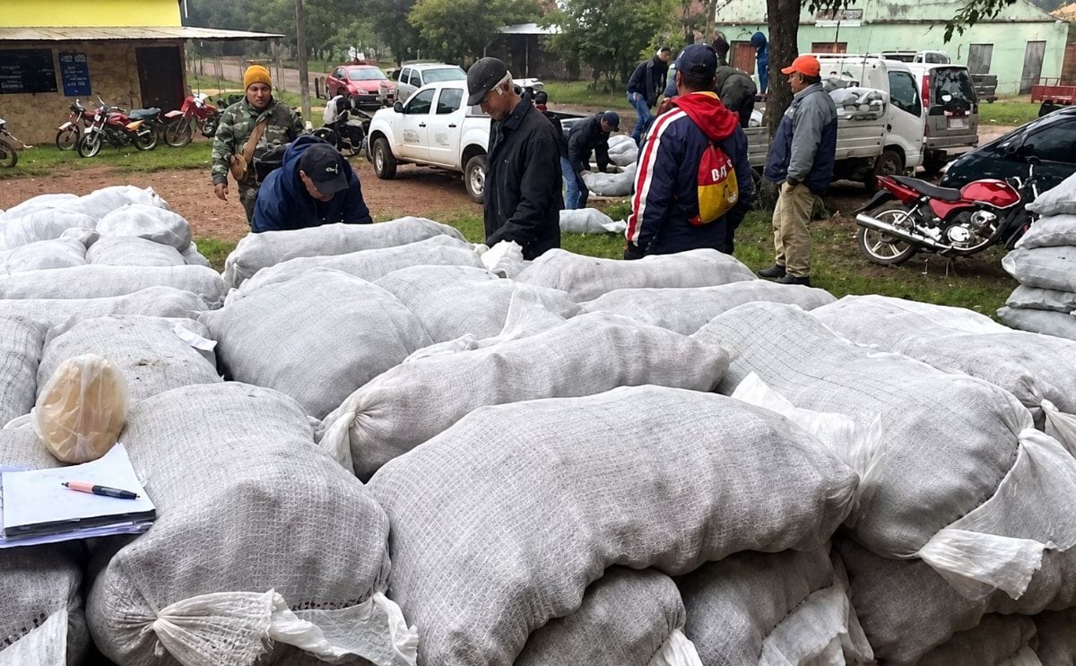 Trabajadores preparan y distribuyen semillas de papa a productores en Paraguay, mientras crece la preocupación por la reducción en la disponibilidad de semillas para la campaña de siembra de 2025 Trabajadores preparan y distribuyen semillas de papa a productores en Paraguay, mientras crece la preocupación por la reducción en la disponibilidad de semillas para la campaña de siembra de 2025