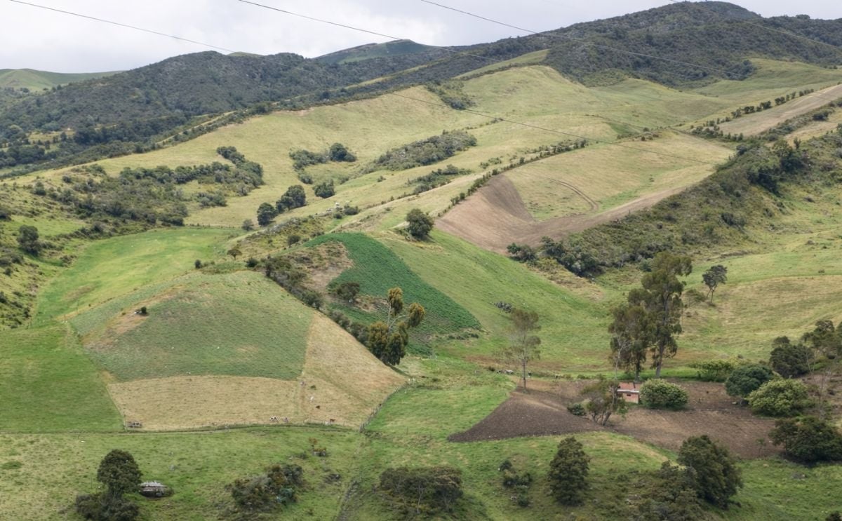 ¿Qué quieren los habitantes de páramo en Colombia? ¿Qué quieren los habitantes de páramo en Colombia?