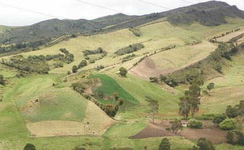 ¿Qué quieren los habitantes del páramo en Colombia? ¿Qué quieren los habitantes del páramo en Colombia?