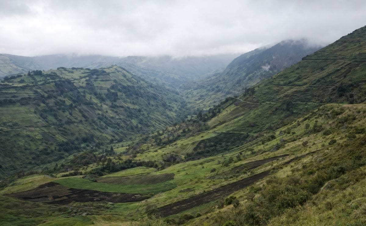 Cómo Colombia minimiza los efectos del cambio climático sobre la producción de papa