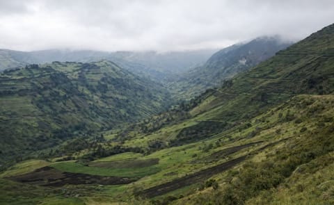 Cómo Colombia minimiza los efectos del cambio climático sobre la producción de papa Cómo Colombia minimiza los efectos del cambio climático sobre la producción de papa