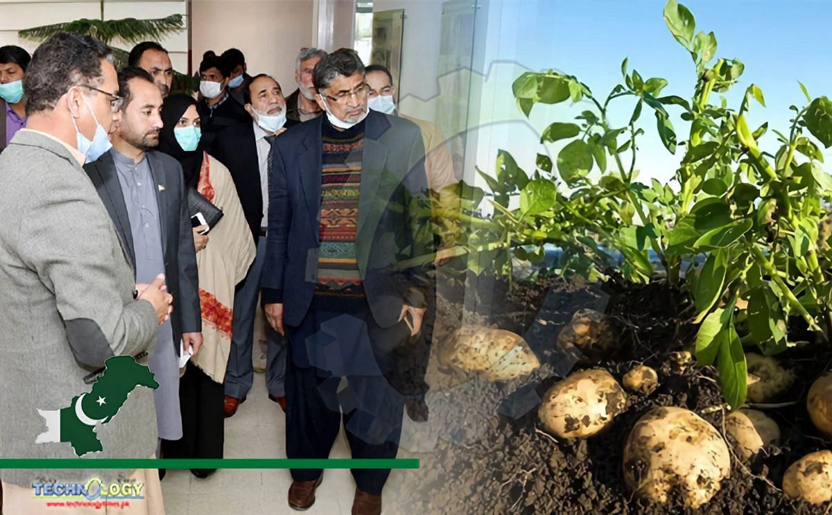 Pakistan research council (PARC) distributes 50,000 potato tubers to Gilgit Baltistan to promote disease free potato production