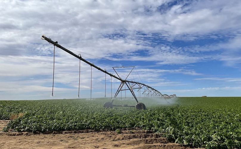 South Australian Potato Company