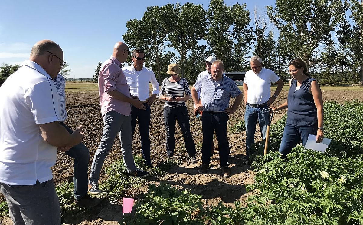 Parkland Potato Varieties will be hosting its annual open day. Parkland Potato Varieties will be hosting its annual open day.