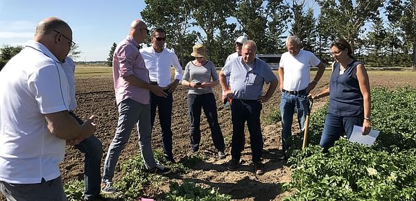 Parkland Potato Varieties will be hosting its annual open day.