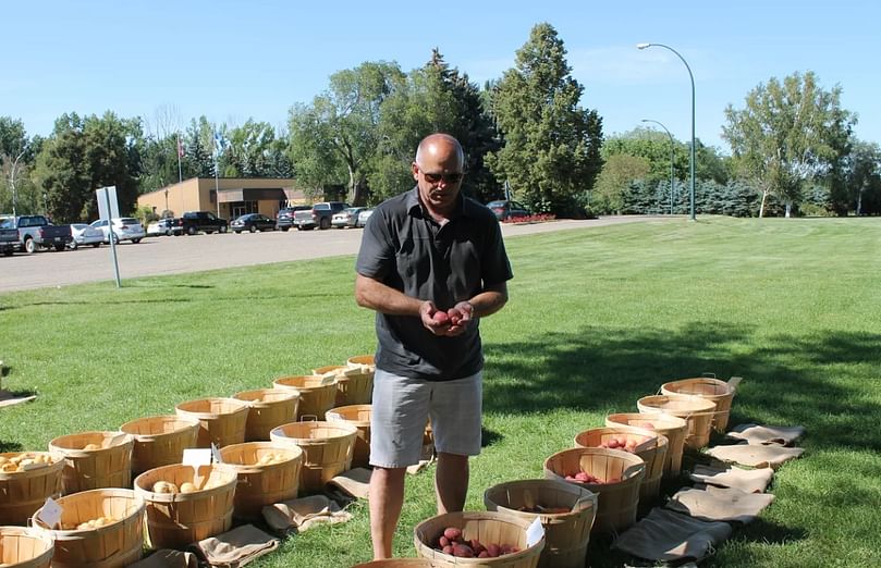 Director of Parkland Potato Varieties Kirby Sawatzky shows one of the proprietary potato varieties of Parkland at the potato field day at CDC on August 16.