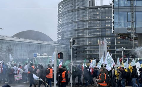 El Parlamento Europeo frena temporalmente el acuerdo UE-Mercosur y solicita una revisión legal tras las protestas del sector agrario. El Parlamento Europeo frena temporalmente el acuerdo UE-Mercosur y solicita una revisión legal tras las protestas del sector agrario.