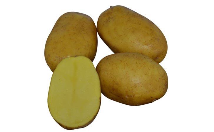 PAROLI PAROLI