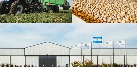 Argentina: primer producción de papa con huella de carbono certificada