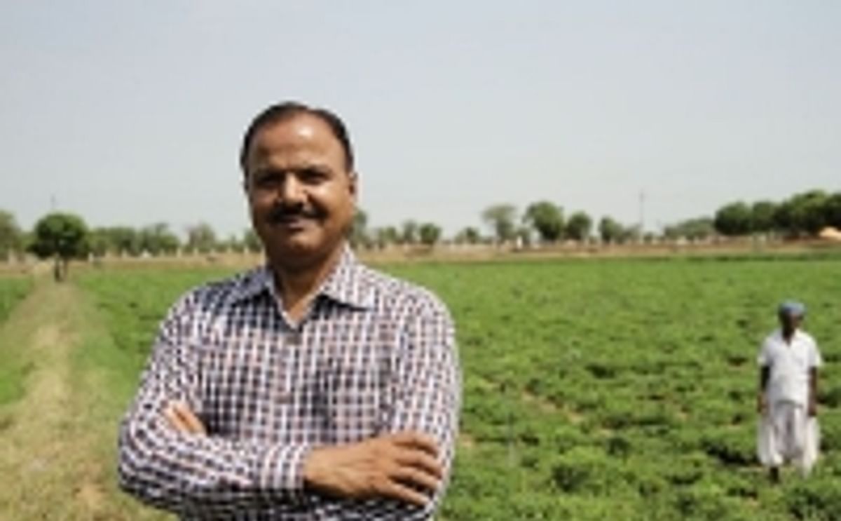 The Potato Farming Success of Gujarat's Banaskantha District