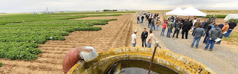 Washington State University Potato Field Day 2022
