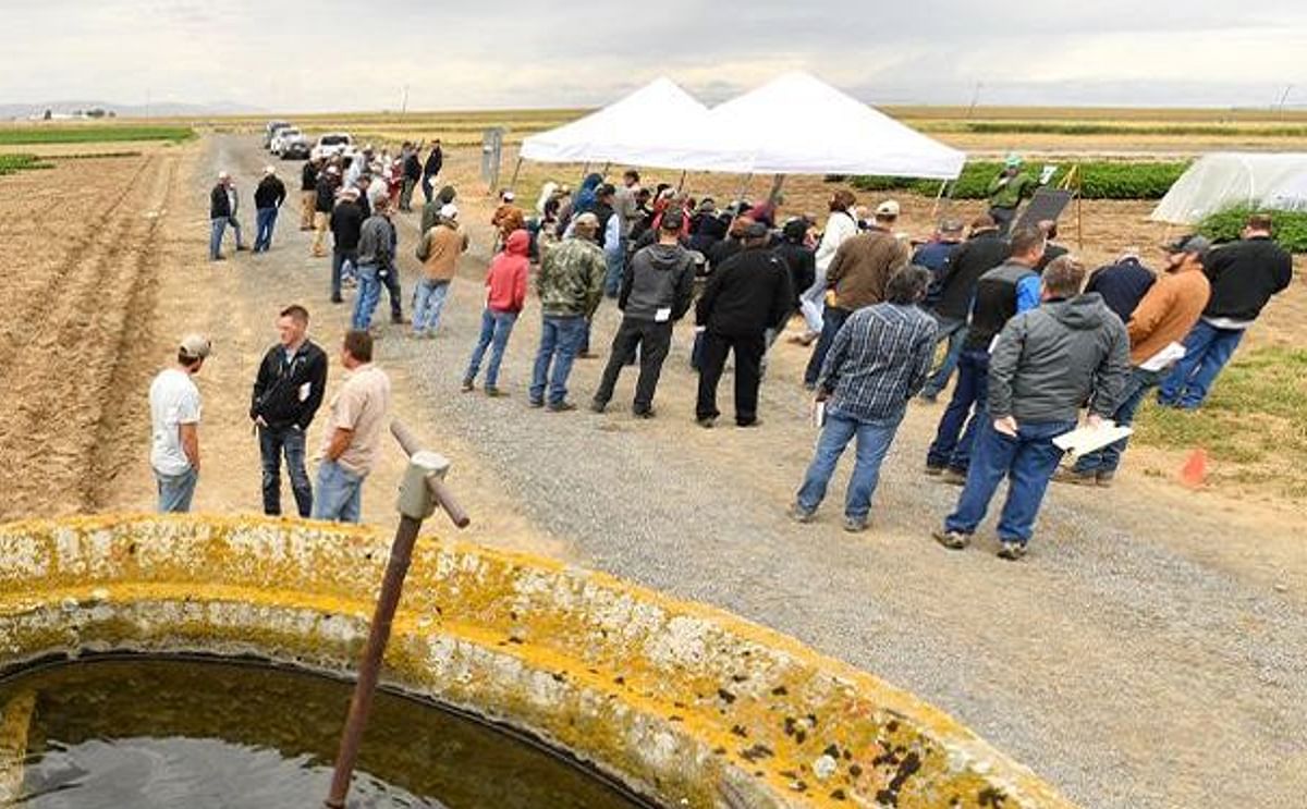 Participants gather at the 2019 WSU Potato Field Day at Othello.