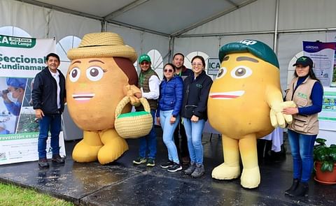 Colombia: primer feria nacional de la papa es un éxito rotundo Colombia: primer feria nacional de la papa es un éxito rotundo