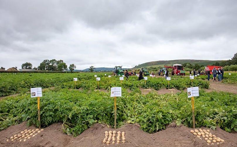 Particularly Good Potatoes, near Wooler. Picture: Sally Ann Norman Particularly Good Potatoes, near Wooler. Picture: Sally Ann Norman