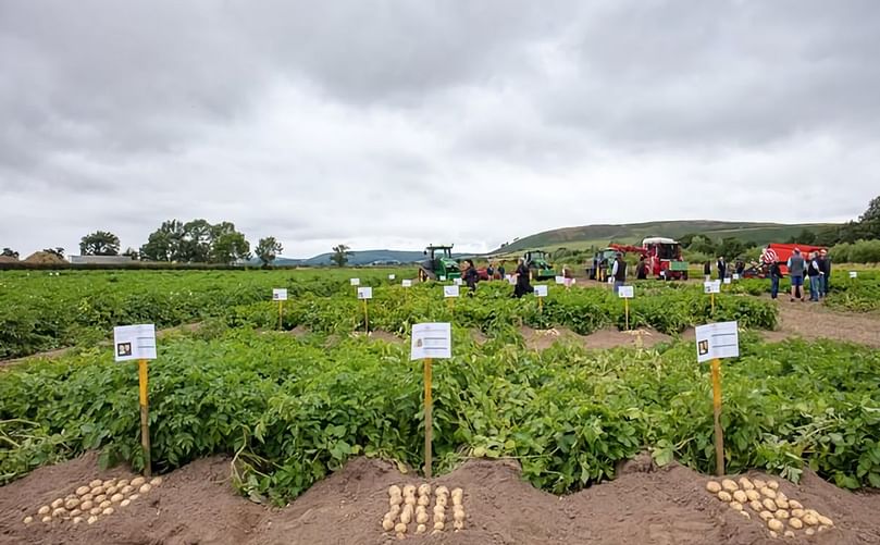 Particularly Good Potatoes, near Wooler. Picture: Sally Ann Norman