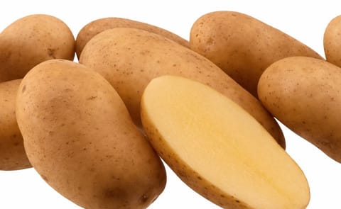 La interprofesional de la papa, clave para el futuro del sector en España La interprofesional de la papa, clave para el futuro del sector en España