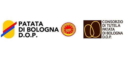 Patata di Bologna PDO Patata di Bologna PDO