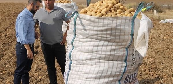 En ocho años el salto de calidad dado por el cultivador de patata es espectacular