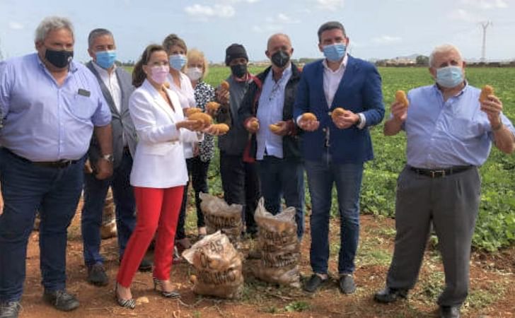 España: La patata de Cartagena quiere una figura de calidad. España: La patata de Cartagena quiere una figura de calidad.