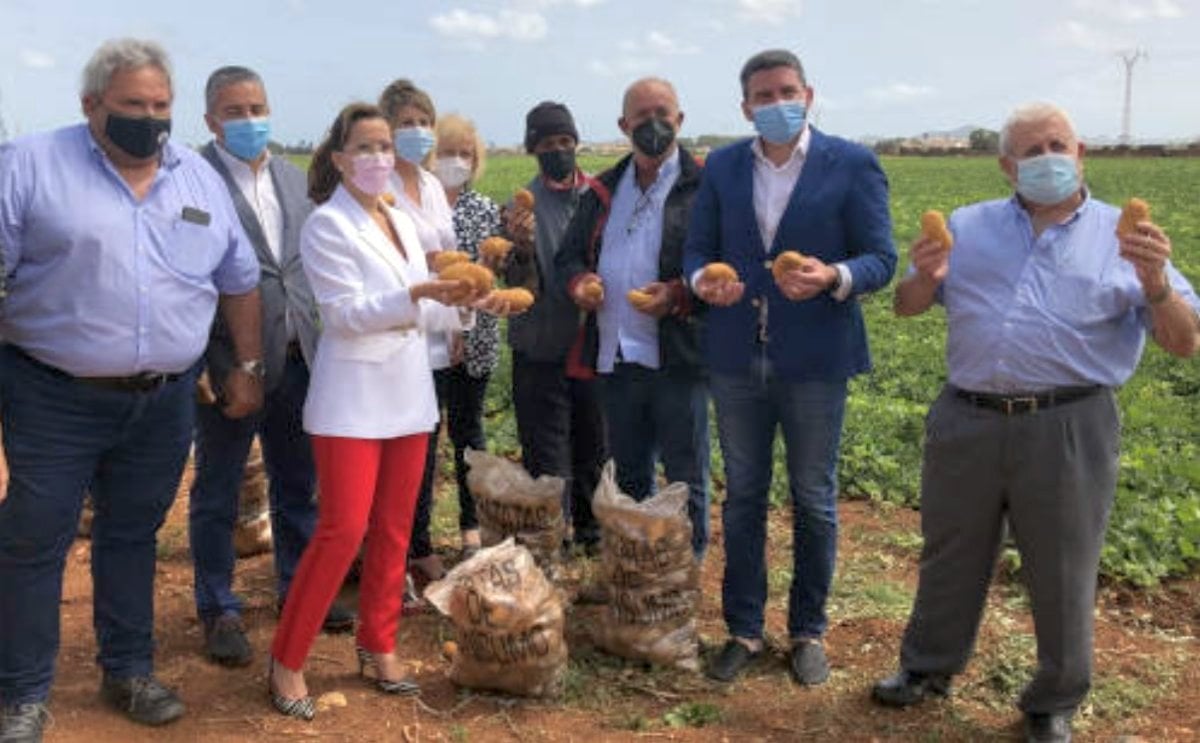 España: La patata de Cartagena quiere una figura de calidad. España: La patata de Cartagena quiere una figura de calidad.