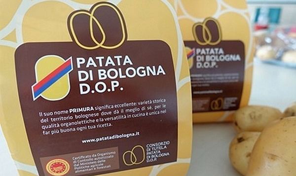 Potato of Bologna PDO.