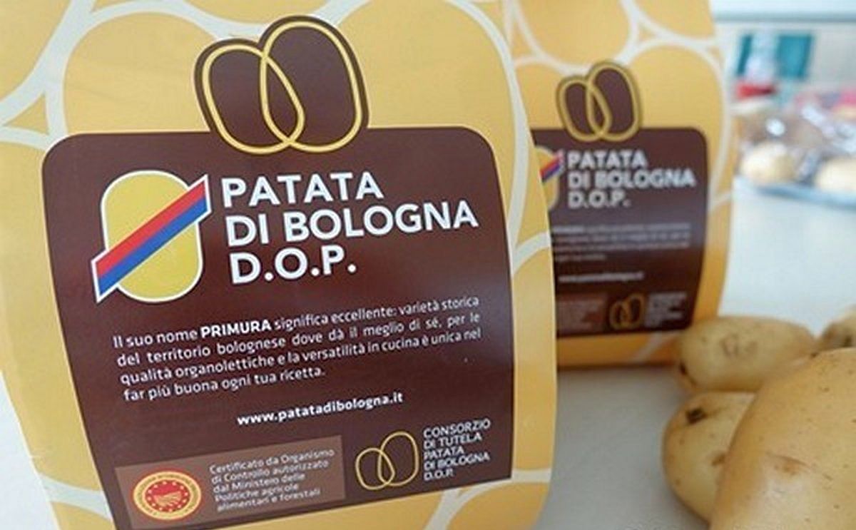 Potato of Bologna PDO.