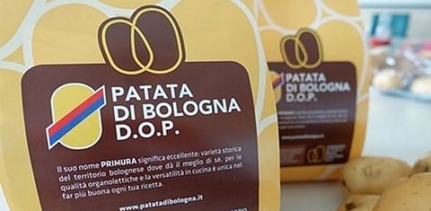 Potato of Bologna PDO.