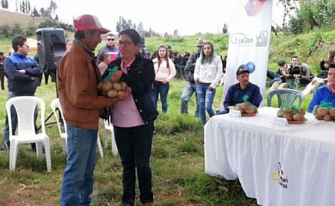 Entrega de semillas de la variedad de papa INIAP-Fátima. (Cortesía: Ministerio de Agricultura) Entrega de semillas de la variedad de papa INIAP-Fátima. (Cortesía: Ministerio de Agricultura)