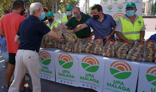 El levantamiento de los agricultores de patatas de Málaga.