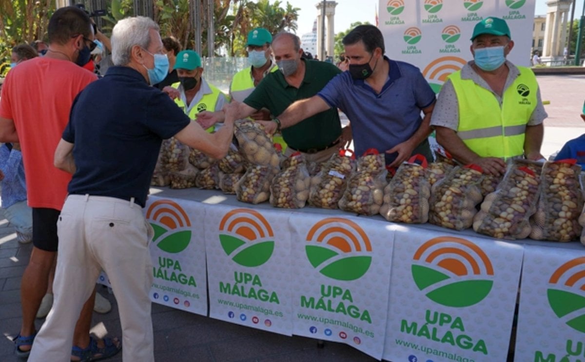 El levantamiento de los agricultores de patatas de Málaga. El levantamiento de los agricultores de patatas de Málaga.