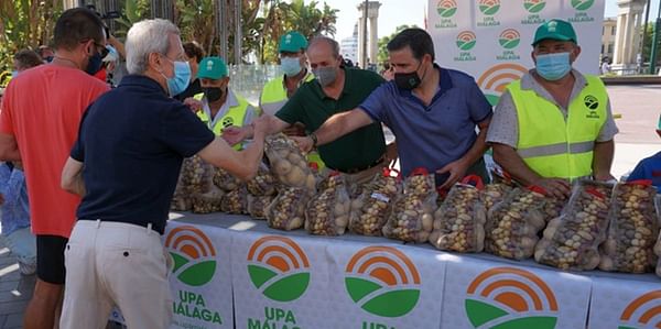 El levantamiento de los agricultores de patatas de Málaga.