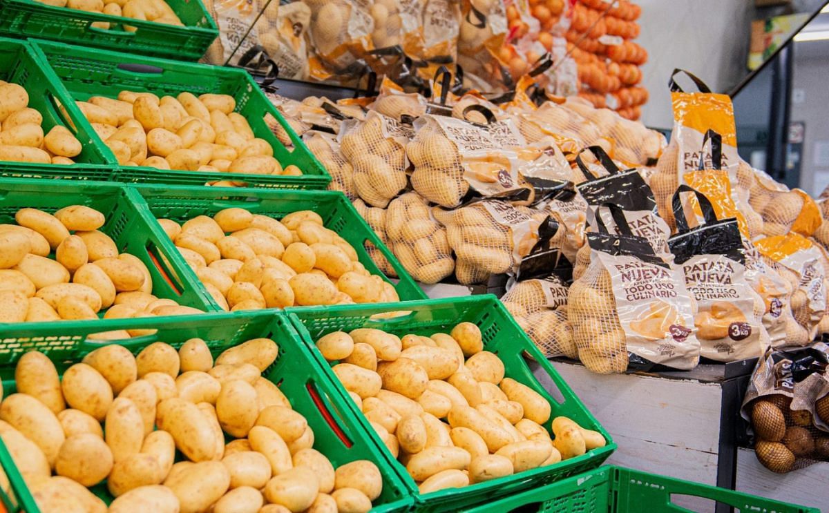 Patatas Tarsa: Innovando en la producción y distribución de su línea de productos 100% naturales con 'Patata Nueva' Patatas Tarsa: Innovando en la producción y distribución de su línea de productos 100% naturales con 'Patata Nueva'