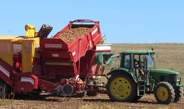 España: La cosecha de patata avanza en La Rioja con una mermada producción