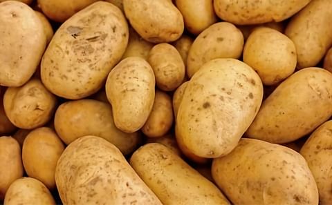 Argentina (Buenos Aires): Costo de Producción de Papa Spunta. Enero 2020 Argentina (Buenos Aires): Costo de Producción de Papa Spunta. Enero 2020