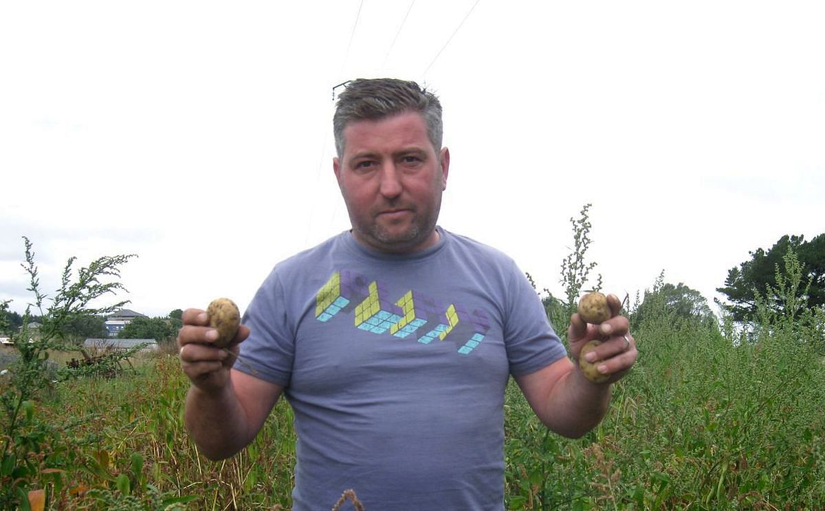 Óscar Riveiro, agricultor de Castro de Rei,  vende dentro y fuera de Galicia el tubérculo con sello ecológico.