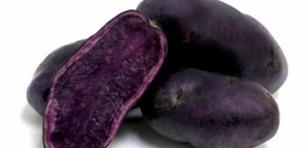 Neiker Tecnalia to start field trial of potato varieties with benefits