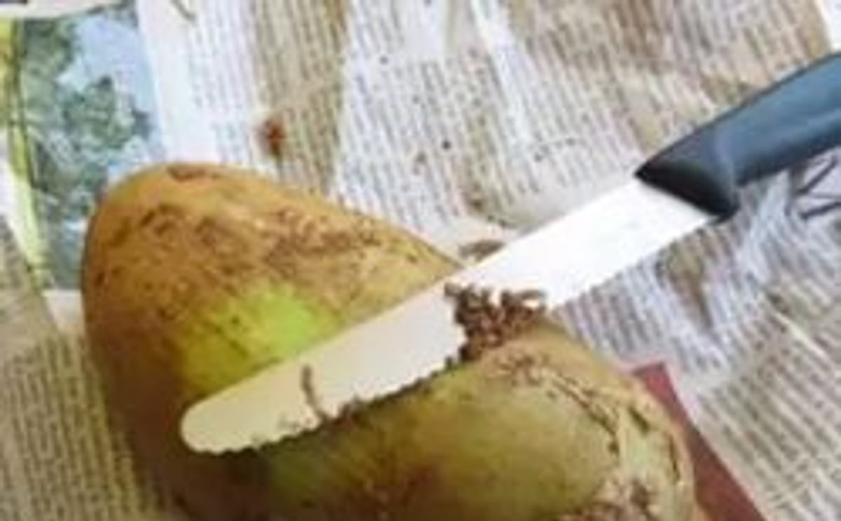 Los beneficios de la papa fresca versus papa conservada: más nutrientes y más sabor Los beneficios de la papa fresca versus papa conservada: más nutrientes y más sabor