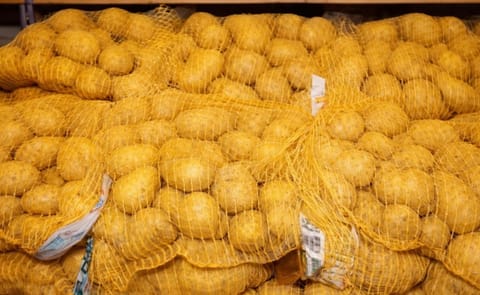 España: Unos 600 puntos de venta catalanes promocionarán la patata nueva España: Unos 600 puntos de venta catalanes promocionarán la patata nueva