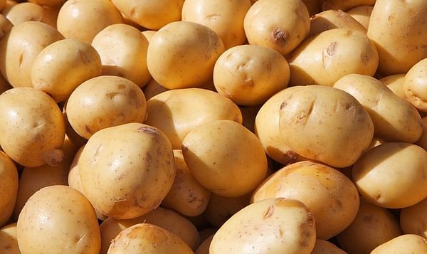 Europa: Autorregular el mercado de la patata podría generar perturbaciones negativas