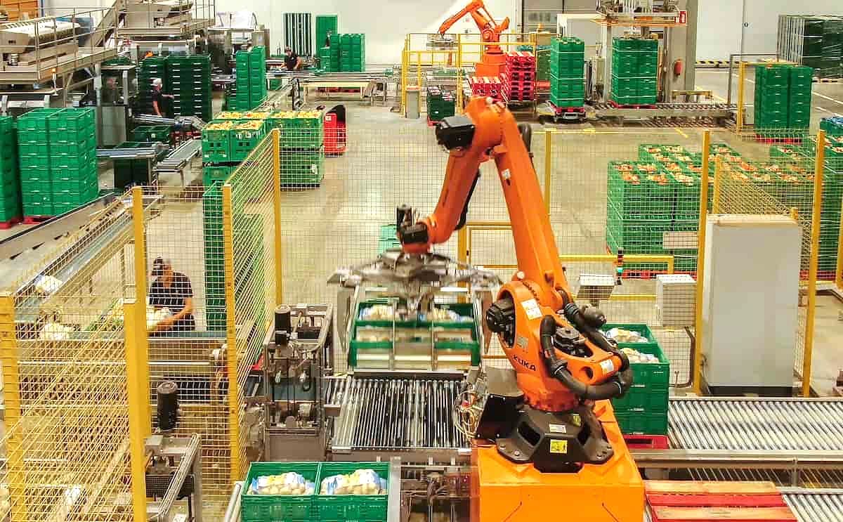 Patatas Aguilar factura 27 millones y amplía su planta de producción en 3.000 m2. Patatas Aguilar factura 27 millones y amplía su planta de producción en 3.000 m2.