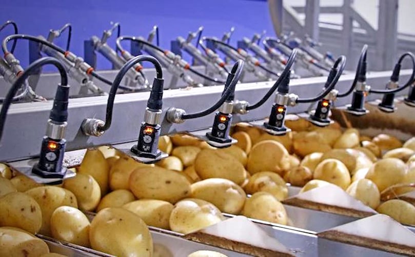 Nueva planta de Patatas Arrebola Nueva planta de Patatas Arrebola