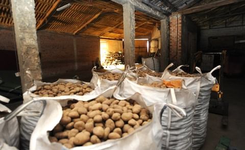 Buenos precios para la patata Buenos precios para la patata