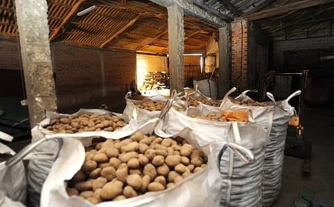 Almacén de patatas de la cooperativa Santa Isabel Almacén de patatas de la cooperativa Santa Isabel