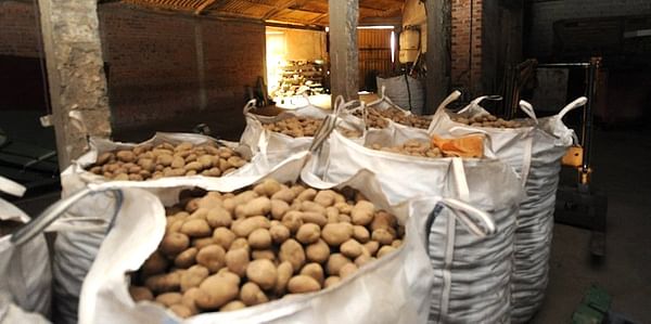 Almacén de patatas de la cooperativa Santa Isabel